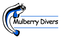 Mulberry Divers